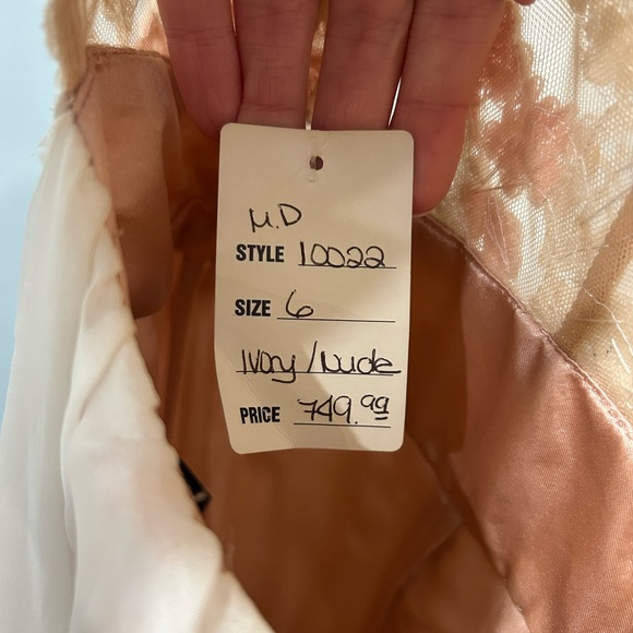 Elegant Pink and White Lace Gown - Picture 9 of 11